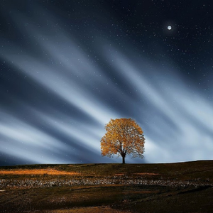 夏思凝的胸罩颜色和年龄
