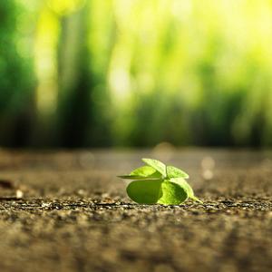 夏思凝的胸罩颜色和年龄
